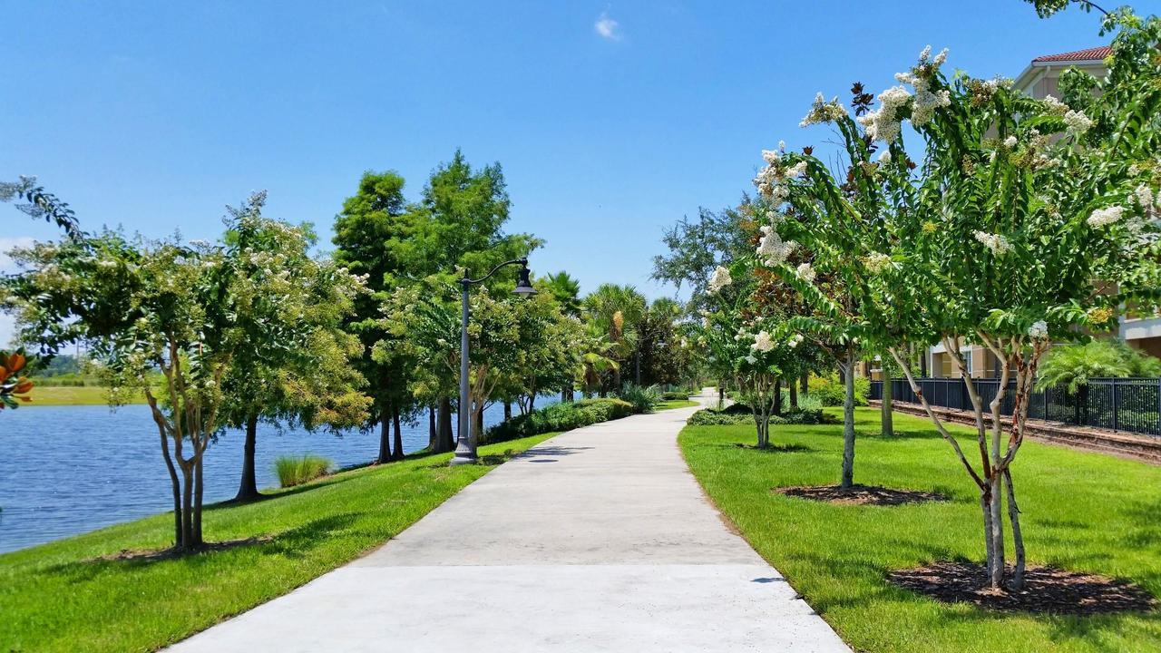 קיסימי Universal Palms מראה חיצוני תמונה